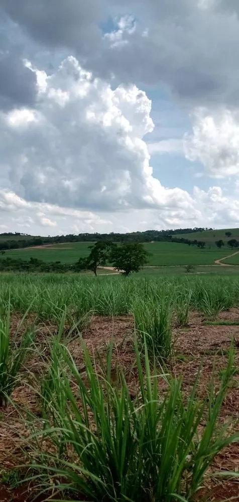 Fazenda, 733 hectares - Foto 1