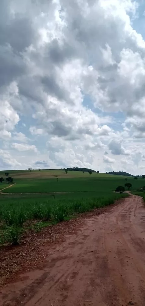 Fazenda, 733 hectares - Foto 2