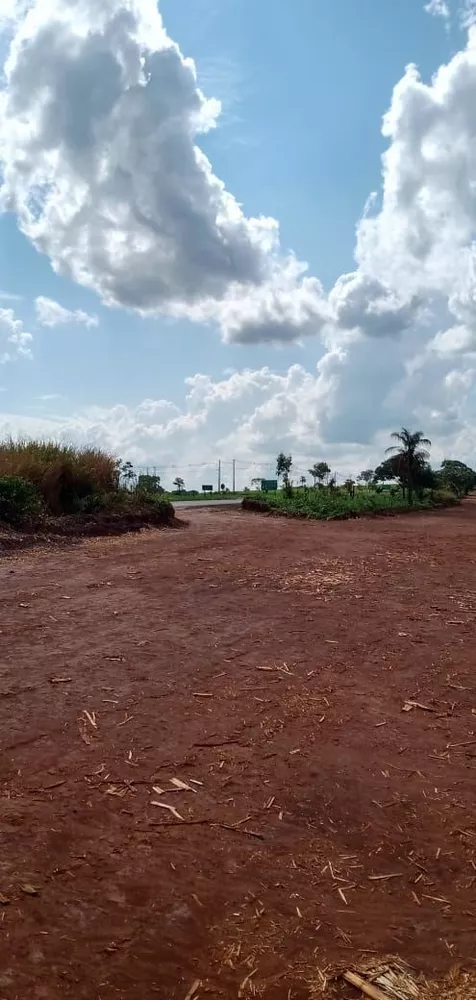 Fazenda, 733 hectares - Foto 4
