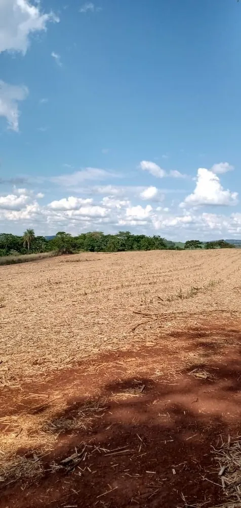 Fazenda, 733 hectares - Foto 6