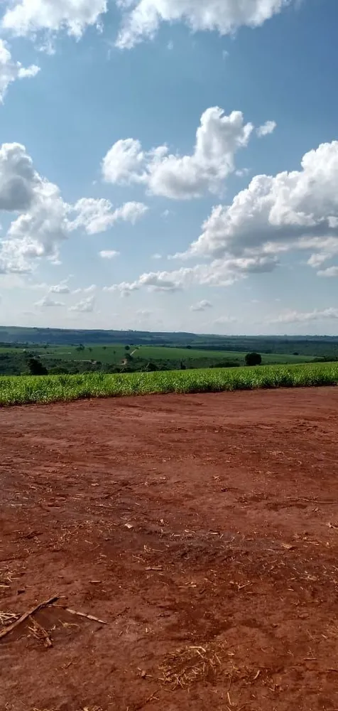 Fazenda, 733 hectares - Foto 7