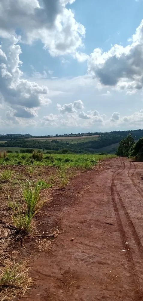 Fazenda, 733 hectares - Foto 8