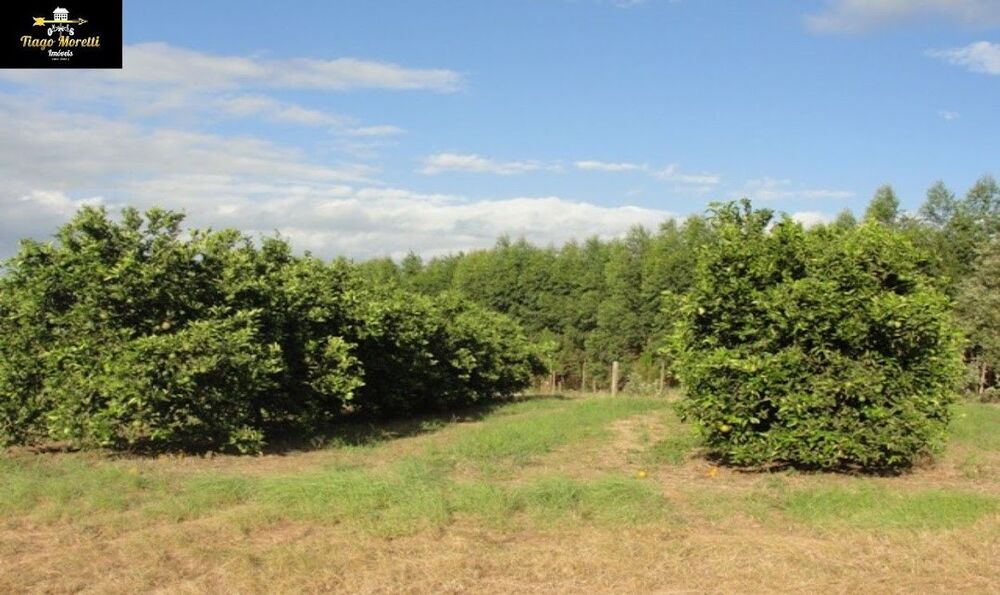 Fazenda, 170 m² - Foto 10