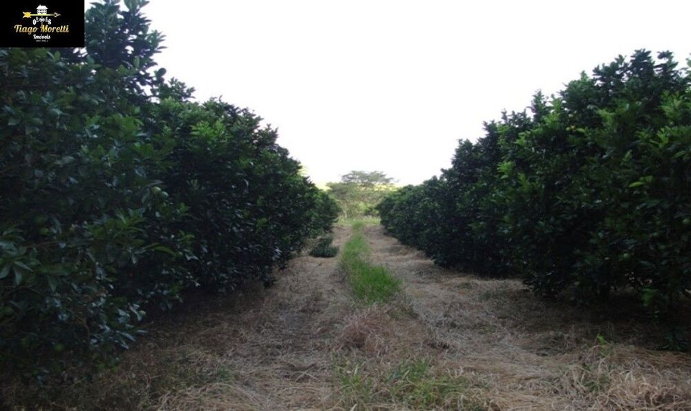 Fazenda, 170 m² - Foto 16