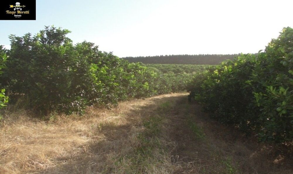 Fazenda, 170 m² - Foto 14