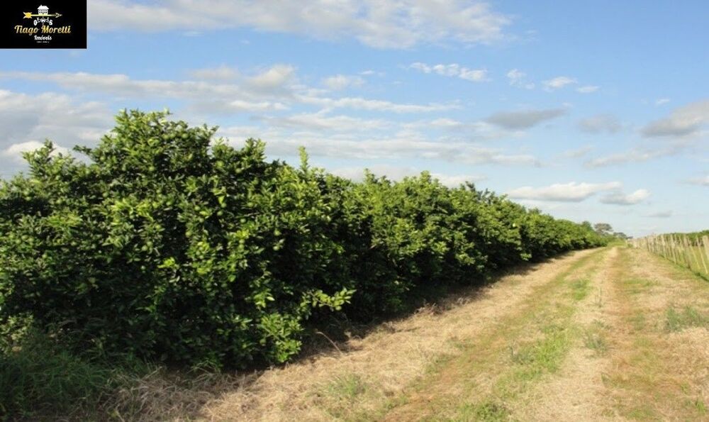 Fazenda, 170 m² - Foto 21