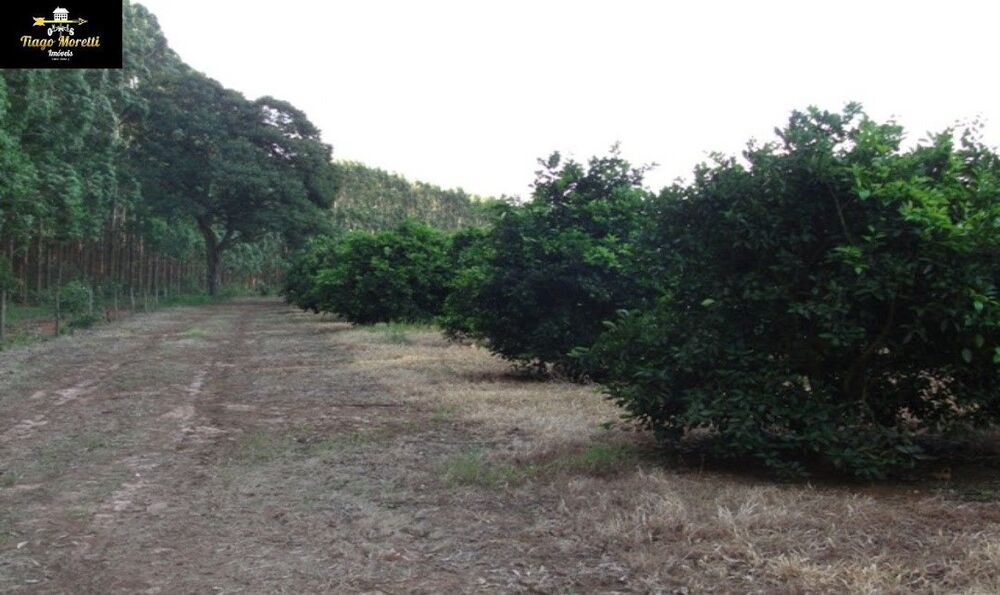 Fazenda, 170 m² - Foto 24