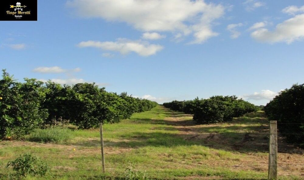 Fazenda, 170 m² - Foto 23