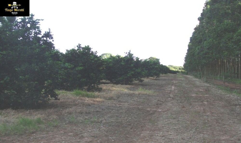 Fazenda, 170 m² - Foto 18