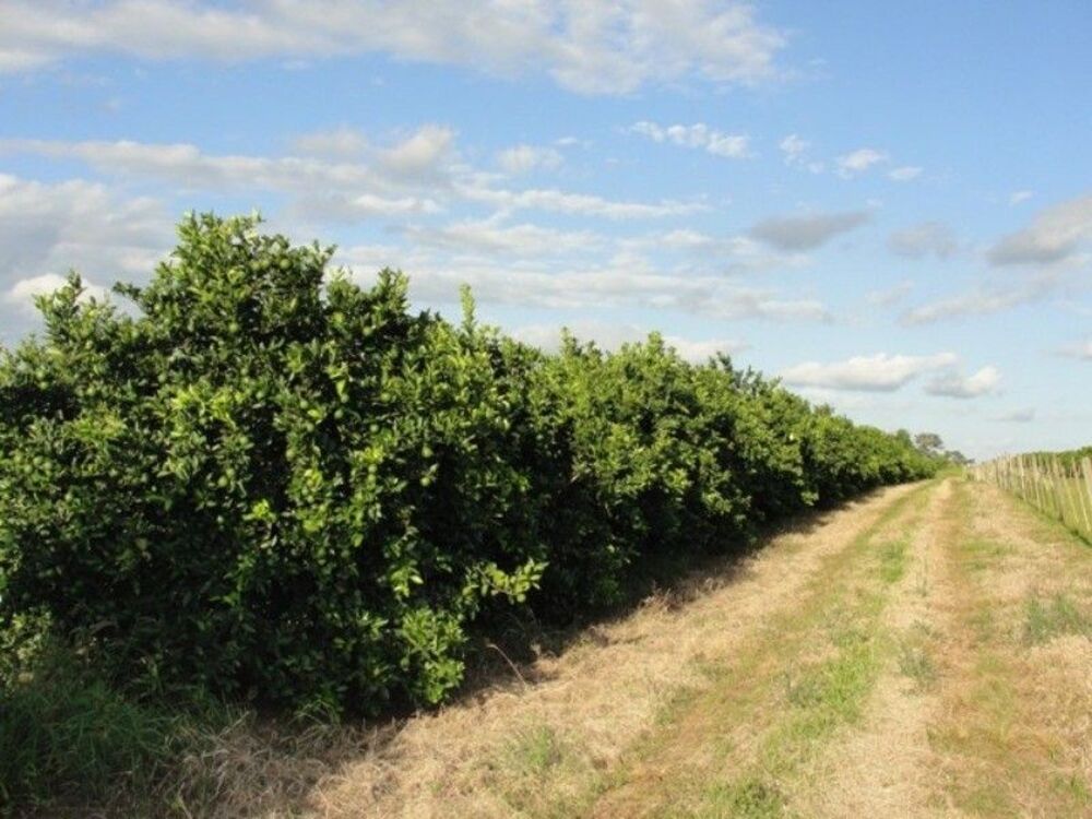 Fazenda, 170 m² - Foto 13