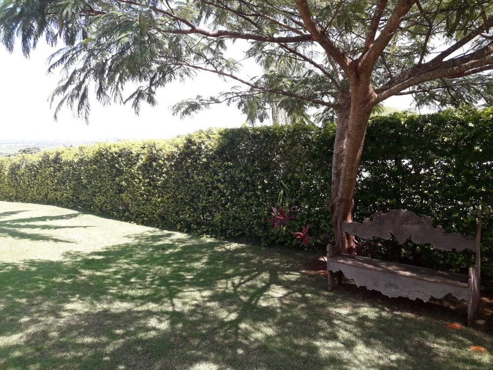 Chácara, 3 quartos, 5000 m² - Foto 16