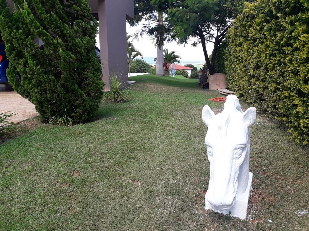 Chácara, 3 quartos, 5000 m² - Foto 12