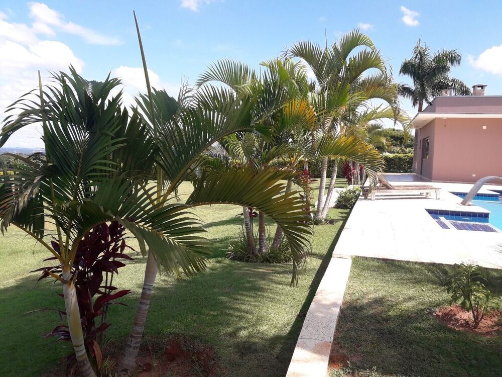 Chácara, 3 quartos, 5000 m² - Foto 5