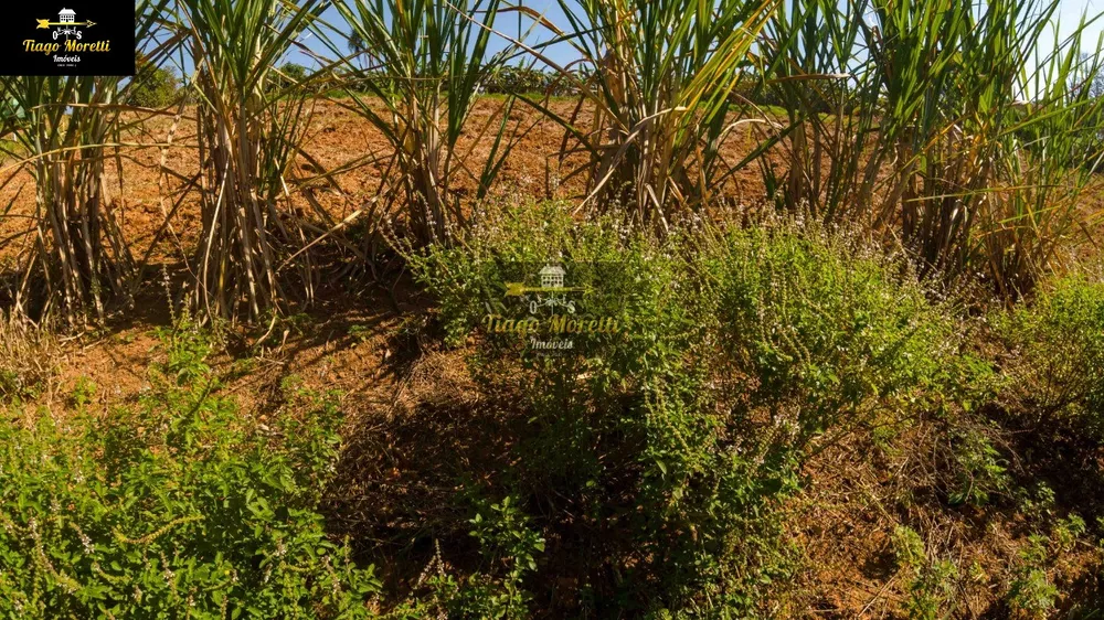 Sítio, 4 quartos - Foto 5