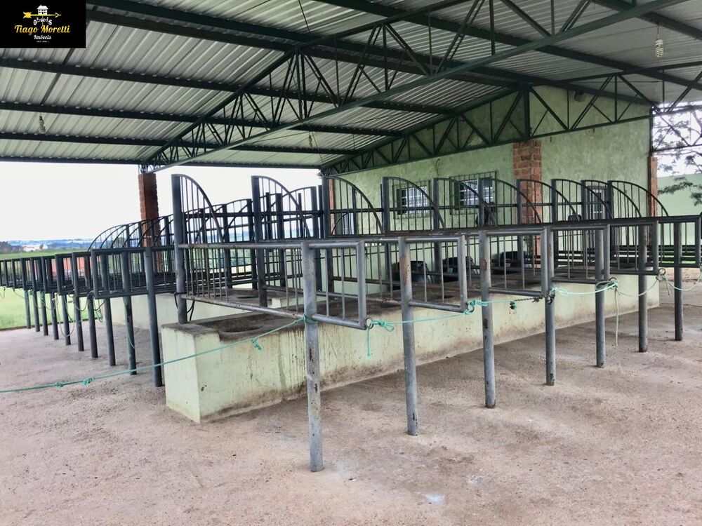 Fazenda-Sítio-Chácara - Foto 13