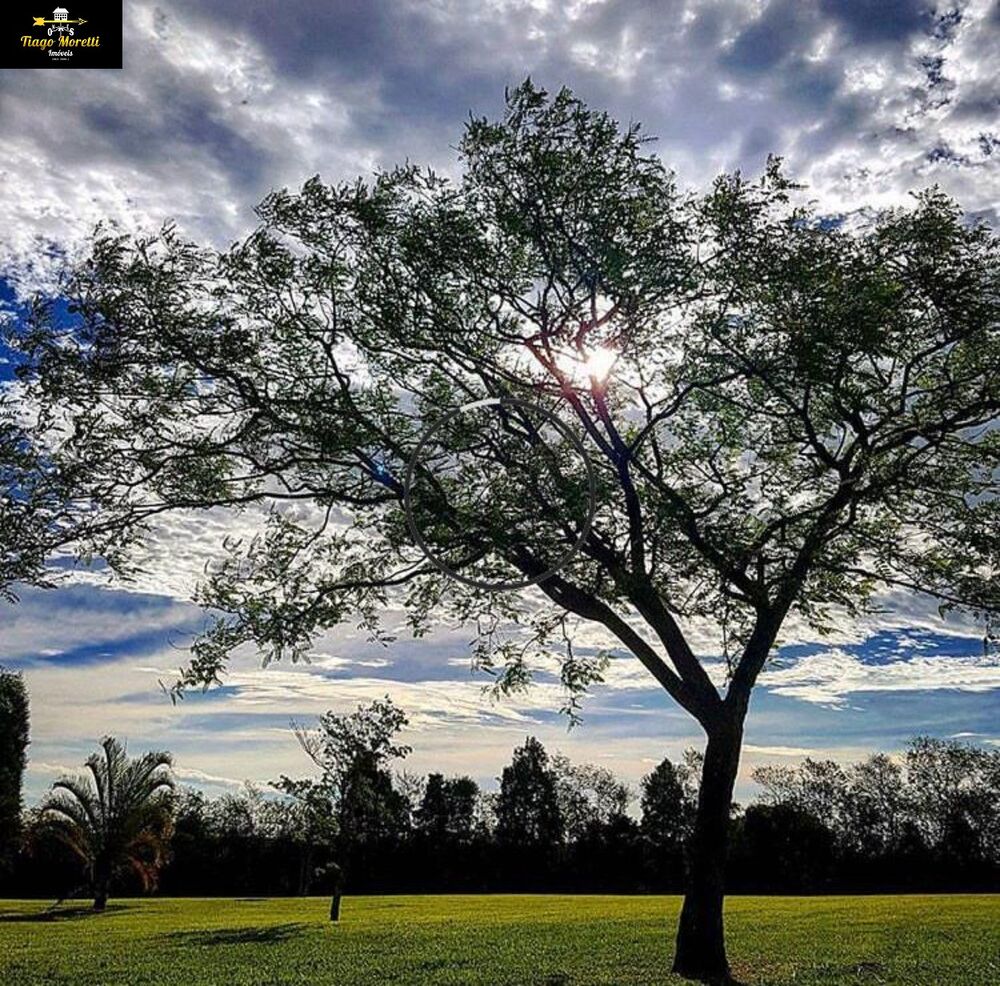 Fazenda-Sítio-Chácara - Foto 7