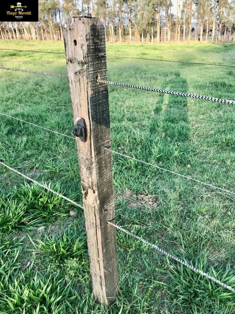 Fazenda-Sítio-Chácara - Foto 8