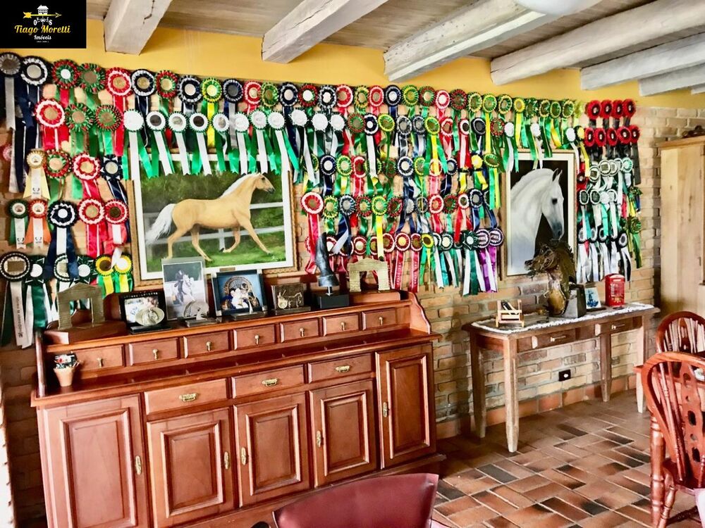 Fazenda-Sítio-Chácara - Foto 16