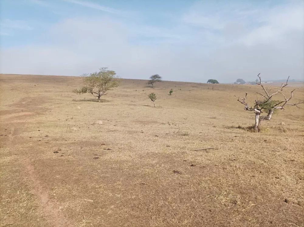 Fazenda, 61 hectares - Foto 1