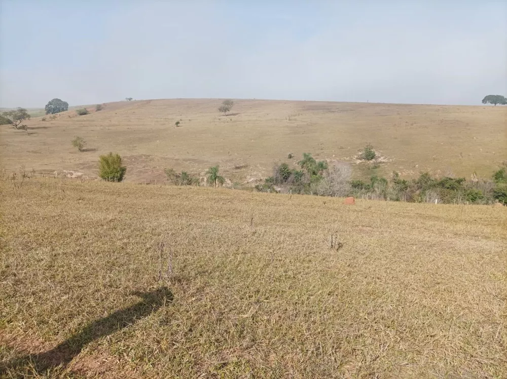 Fazenda, 61 hectares - Foto 2