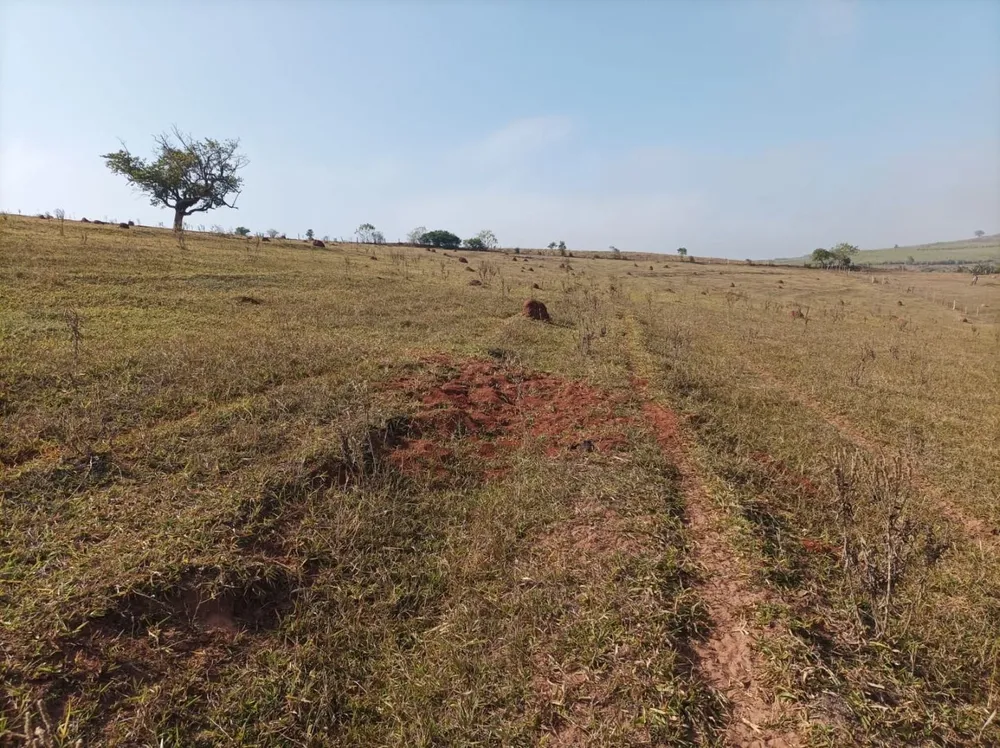 Fazenda, 61 hectares - Foto 8