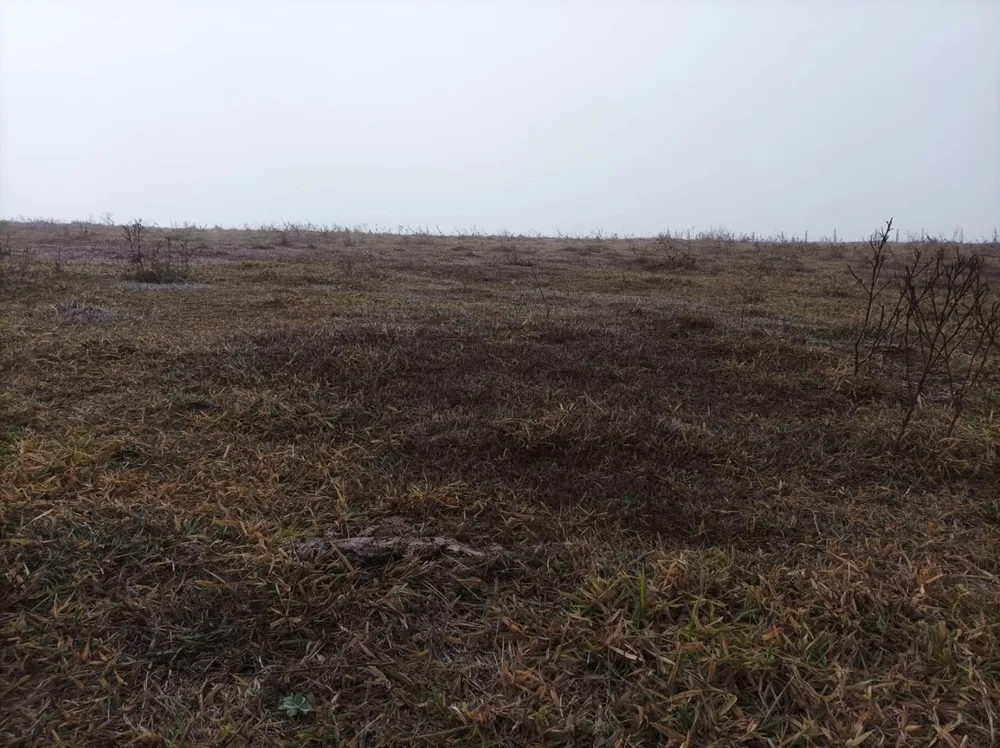 Fazenda, 61 hectares - Foto 10