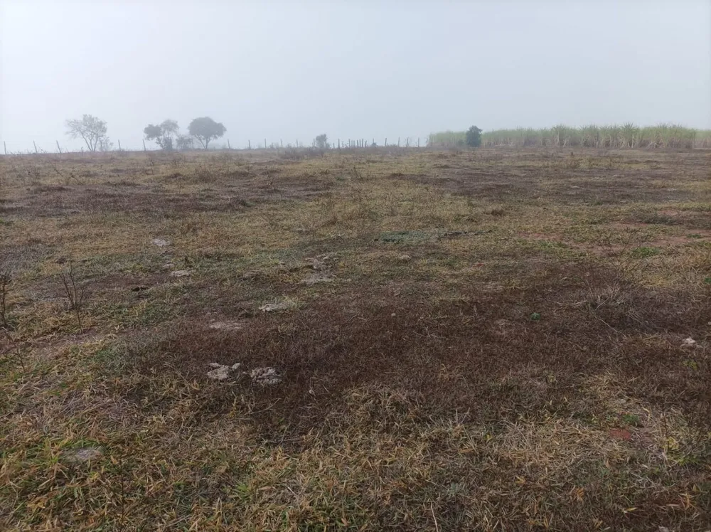 Fazenda, 61 hectares - Foto 6