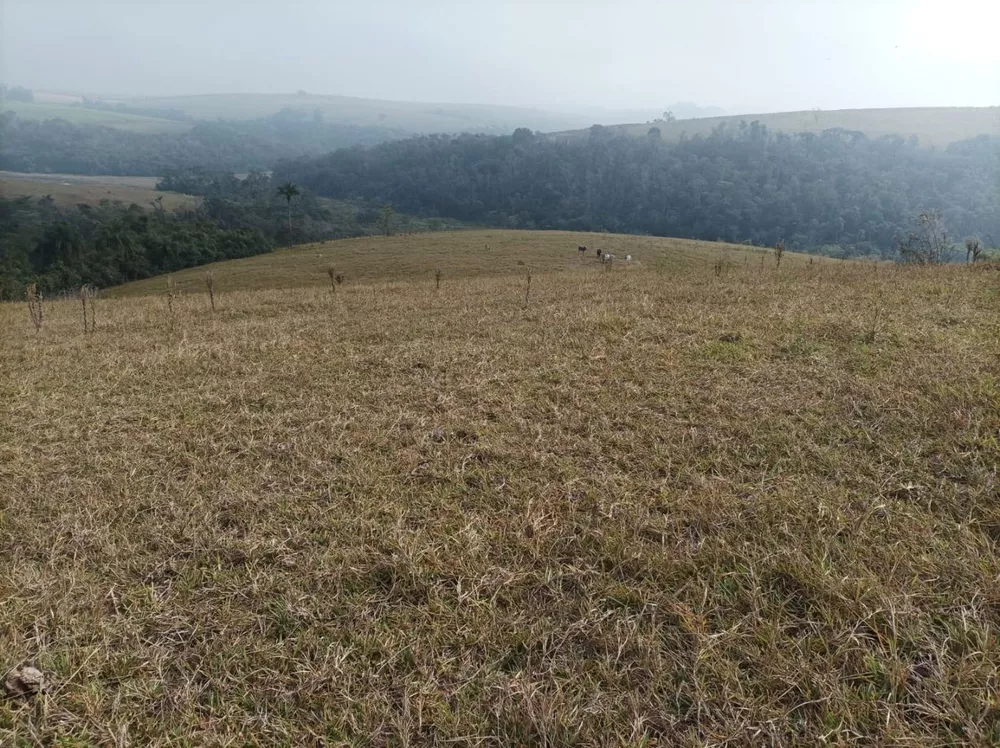 Fazenda, 61 hectares - Foto 3