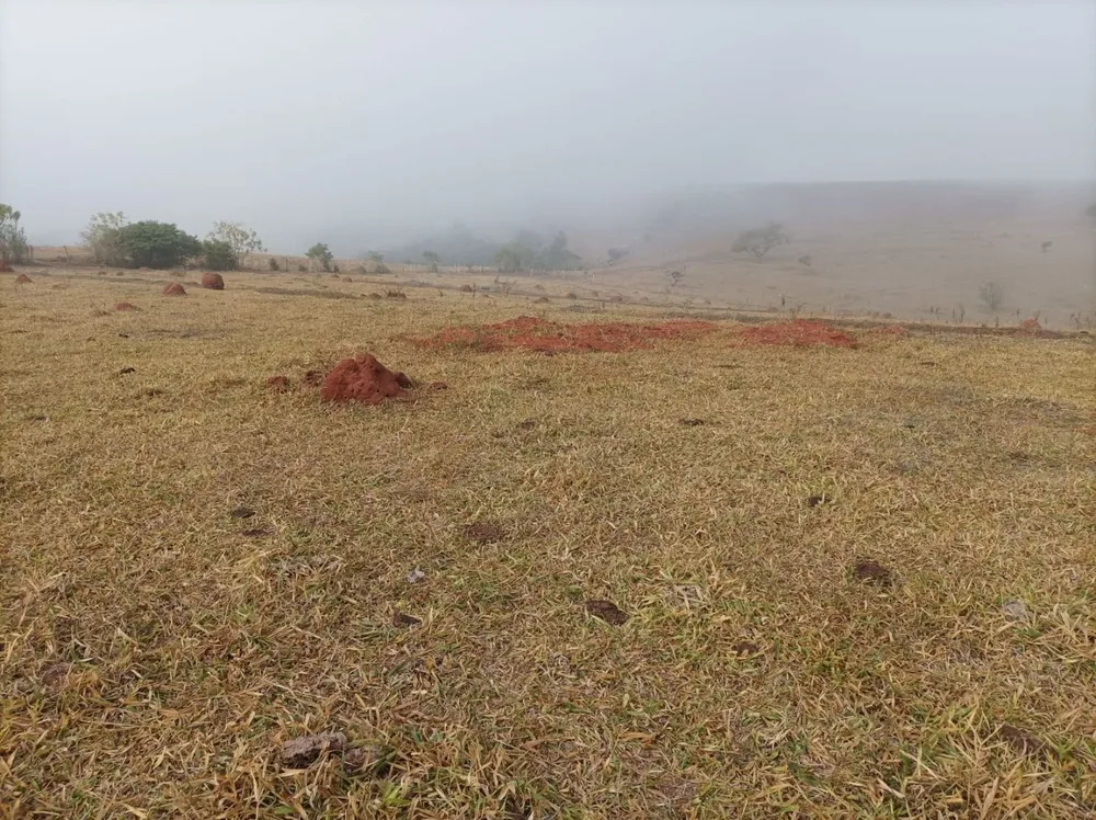 Fazenda, 61 hectares - Foto 7