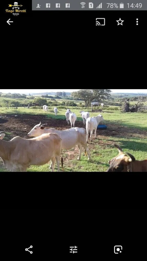 Fazenda, 50 m² - Foto 14