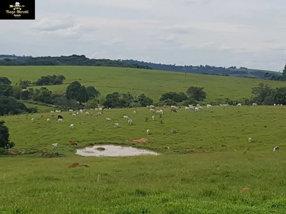 Fazenda, 50 m² - Foto 6