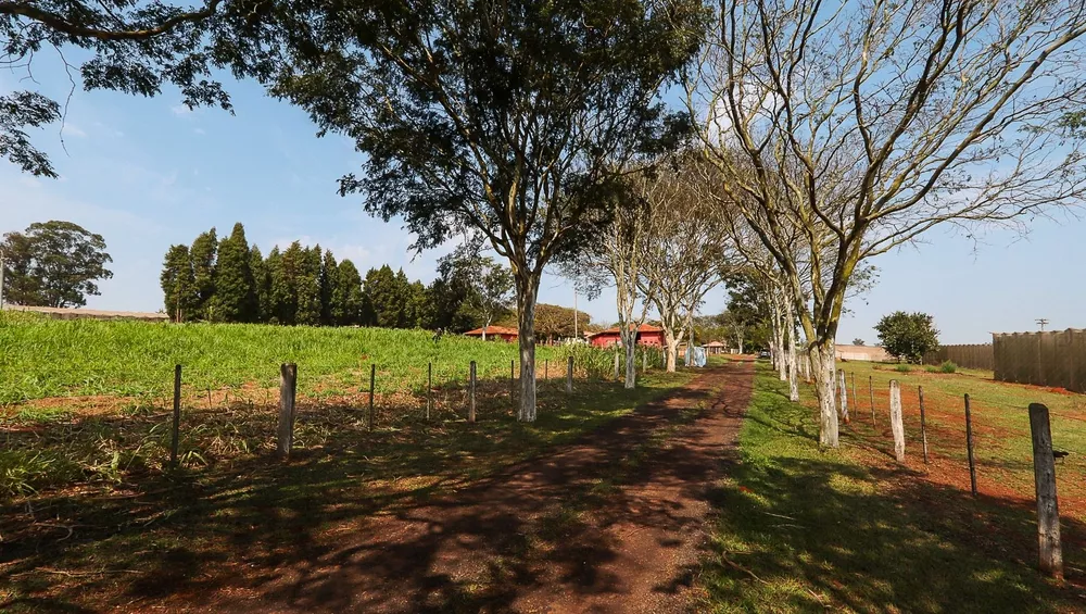 Fazenda, 4 hectares - Foto 8