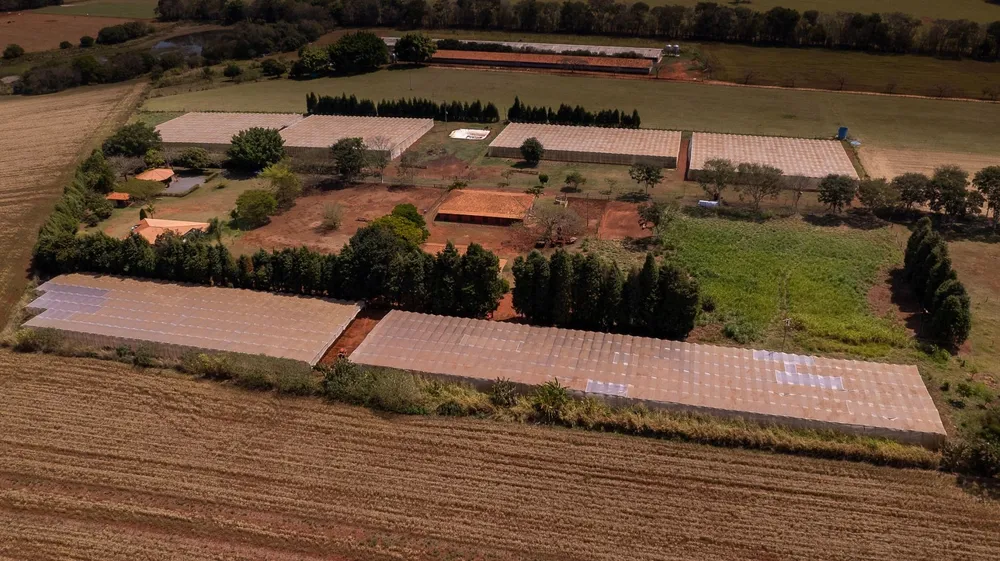 Fazenda, 4 hectares - Foto 2