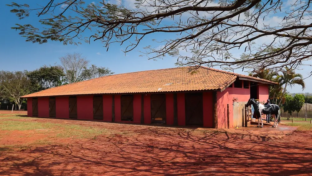 Fazenda, 4 hectares - Foto 3