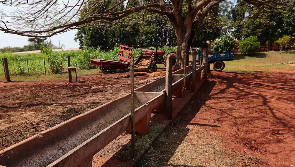 Fazenda, 4 hectares - Foto 13