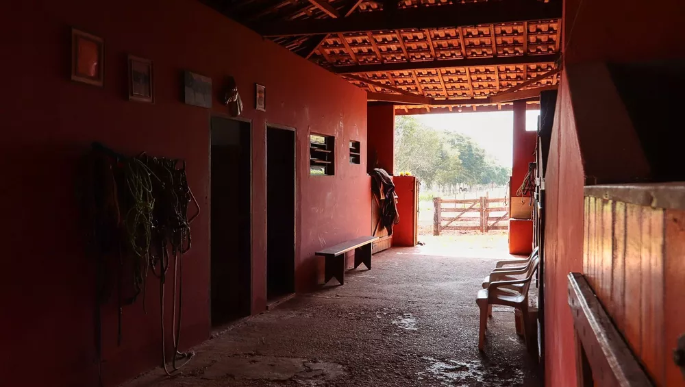 Fazenda, 4 hectares - Foto 3