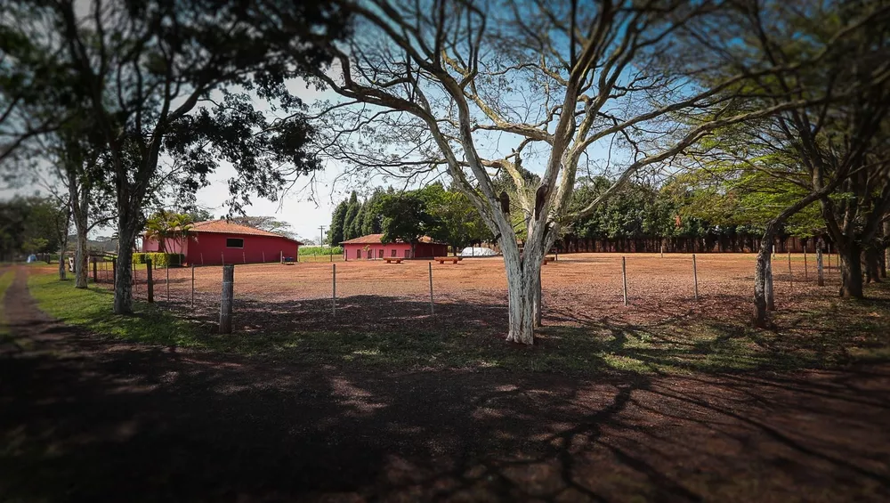 Fazenda, 4 hectares - Foto 4