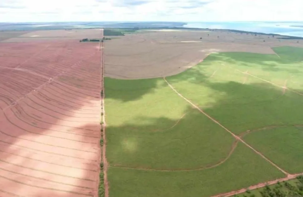 Fazenda, 1694 hectares - Foto 1