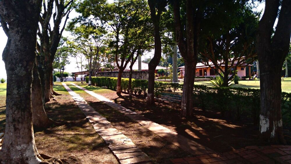 Chácara, 3 quartos, 10000 m² - Foto 2