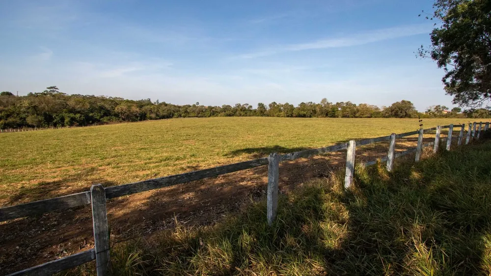 Fazenda, 48 hectares - Foto 12