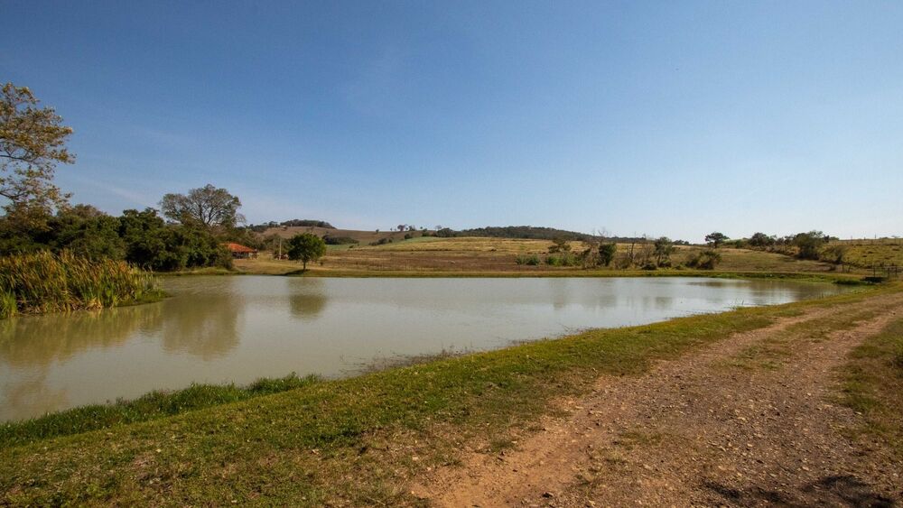 Fazenda, 48 hectares - Foto 8