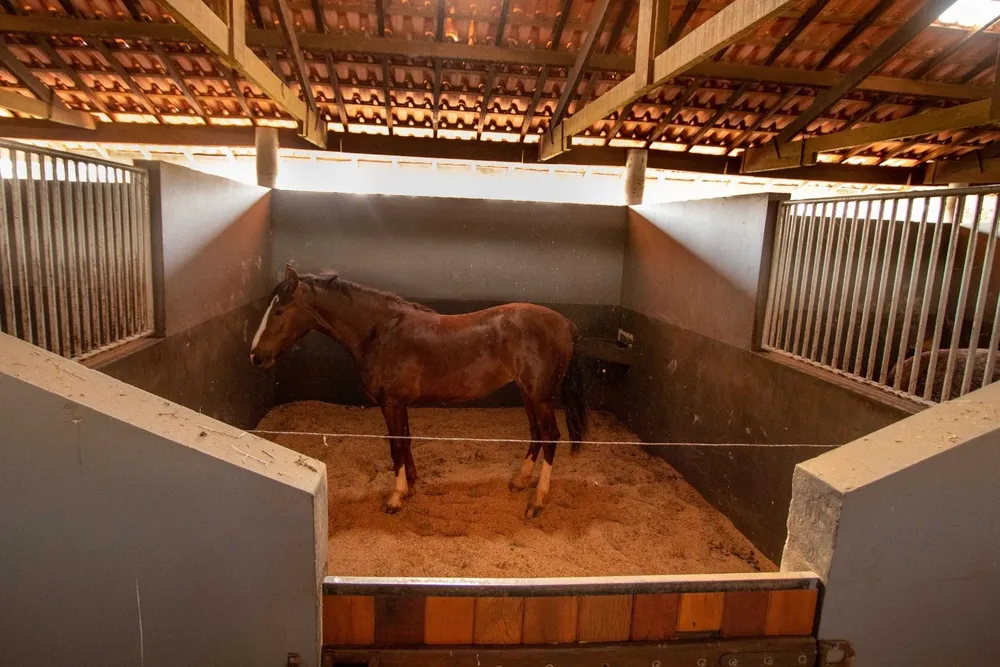 Fazenda, 48 hectares - Foto 14