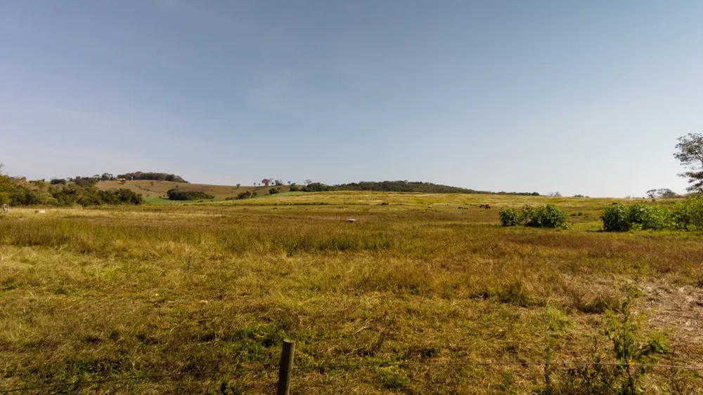 Fazenda, 48 hectares - Foto 22