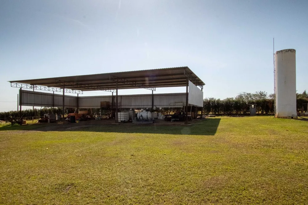 Fazenda, 48 hectares - Foto 15