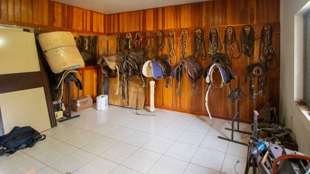 Fazenda, 48 hectares - Foto 2