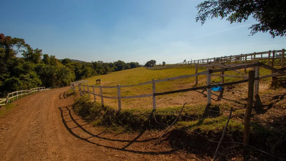 Fazenda, 48 hectares - Foto 11