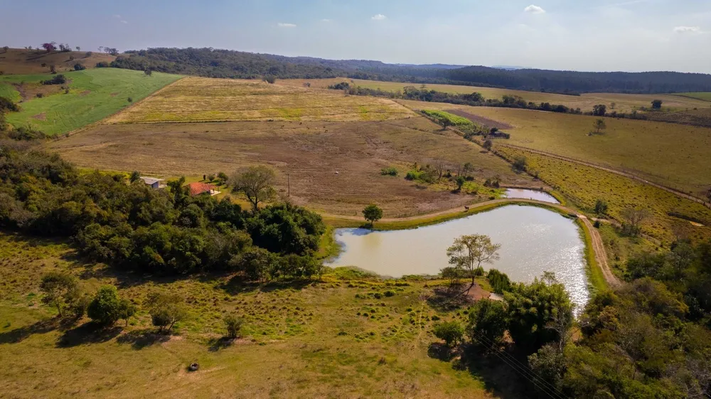 Fazenda, 48 hectares - Foto 21