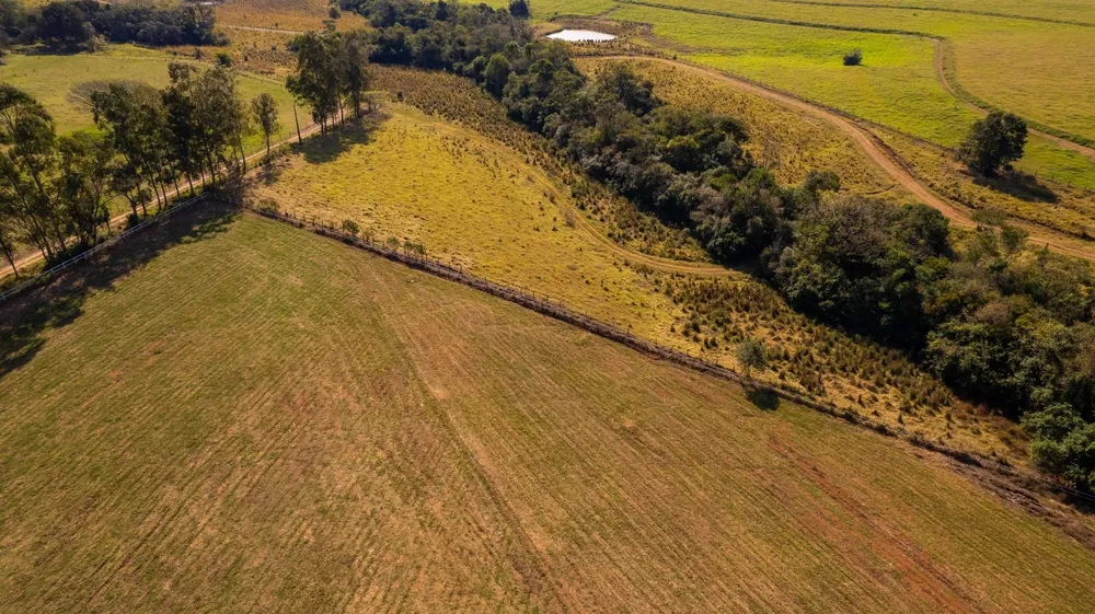 Fazenda, 48 hectares - Foto 23
