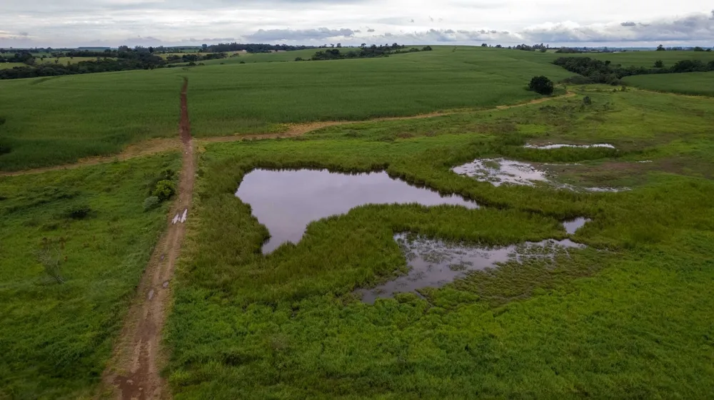 Fazenda, 194 hectares - Foto 3