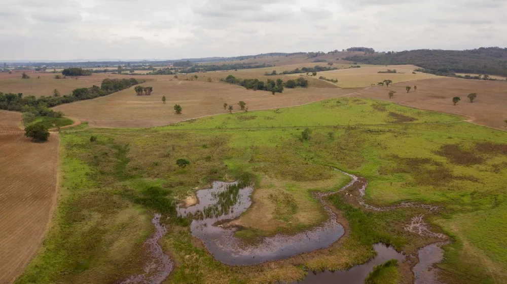 Fazenda, 194 hectares - Foto 3